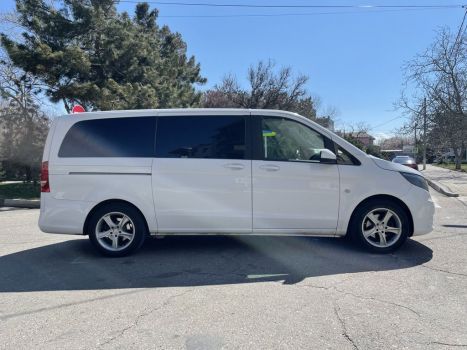 Mercedes Viano