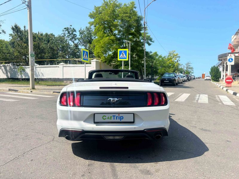 Ford Mustang Спорт купе / Кабриолет